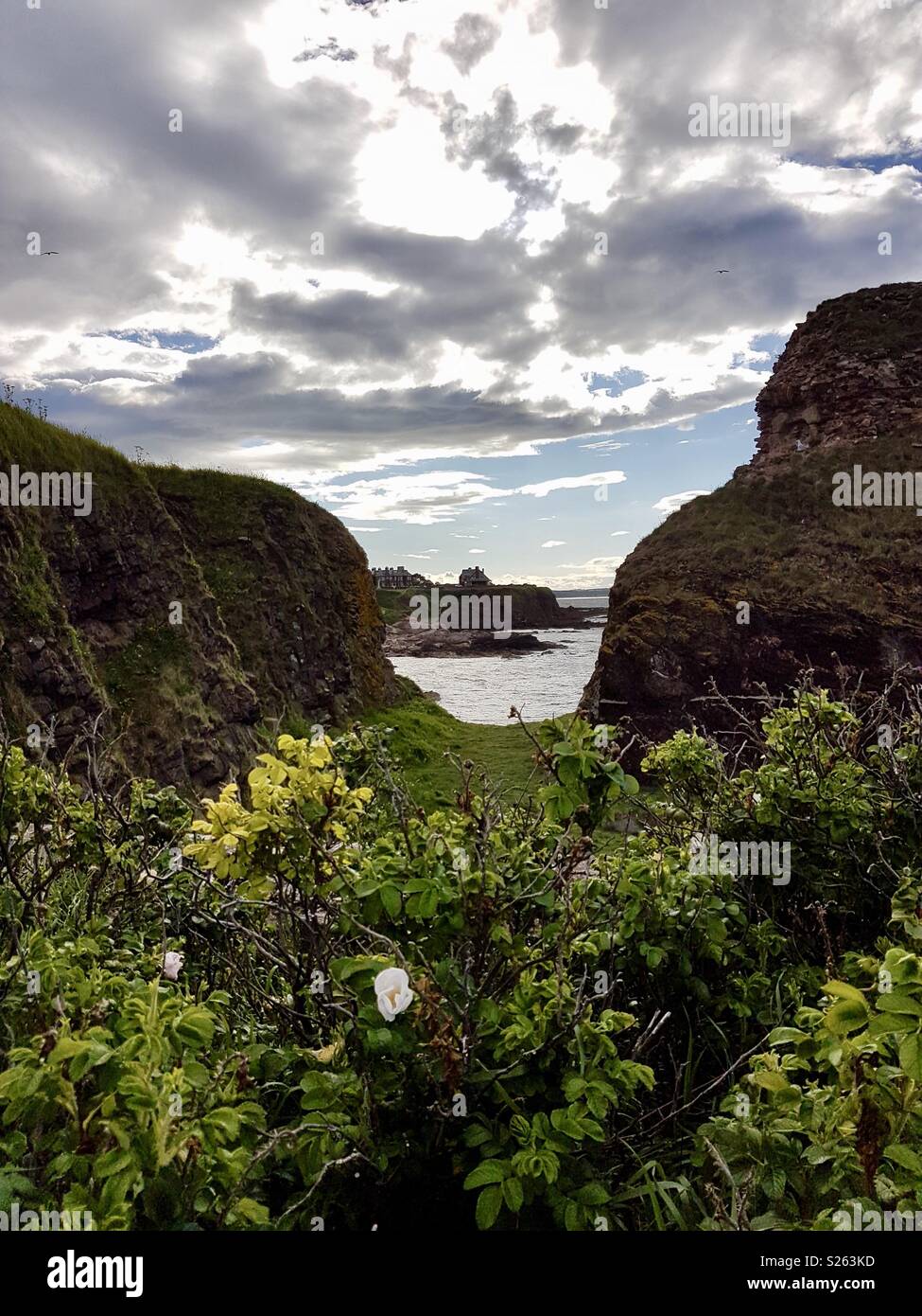 La vista dalla scogliera, Dunbar, Scozia Foto Stock