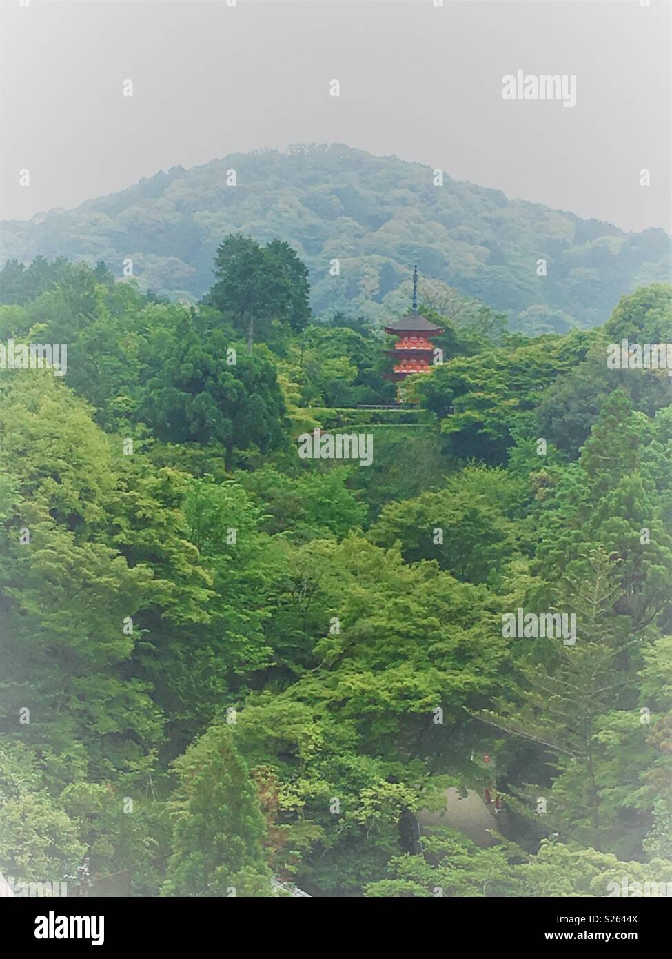 Pagoda in foresta - Immagine stock catturata con smartphone