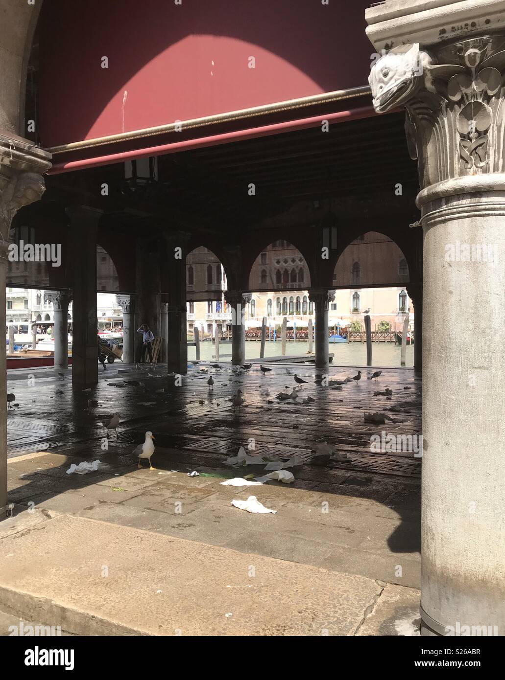 Gabbiani caccia attraverso i rifiuti dopo il Mercato di Rialto è stata impaccata per la giornata. Venezia, Italia. - Immagine stock catturata con smartphone