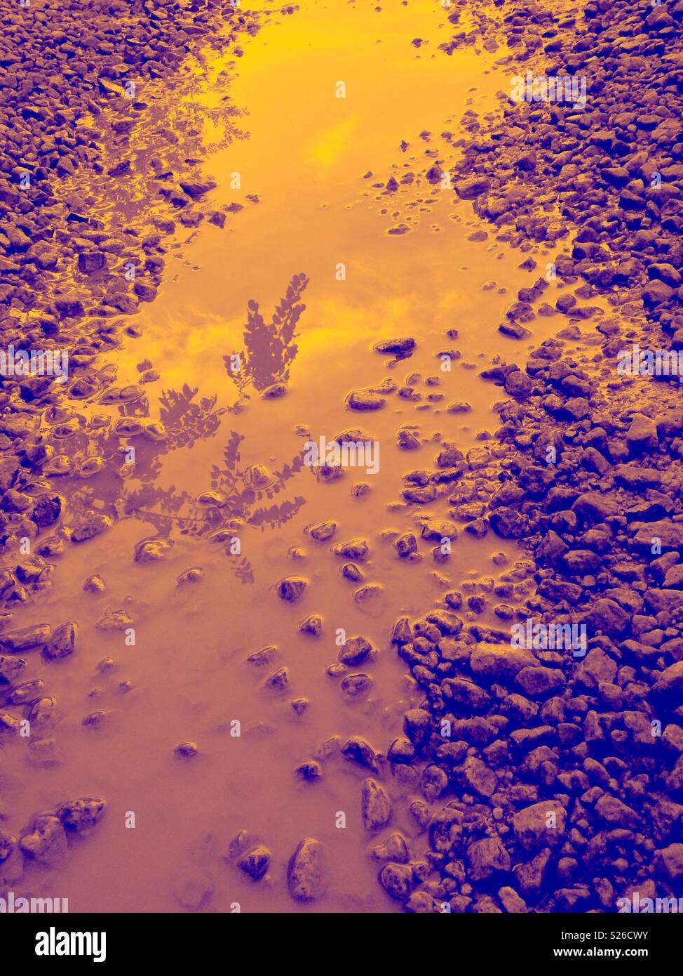 Contrasto nitido in bicromia effetto foto di passo carraio pozzanghera che riflette il cielo e fogliame Foto Stock