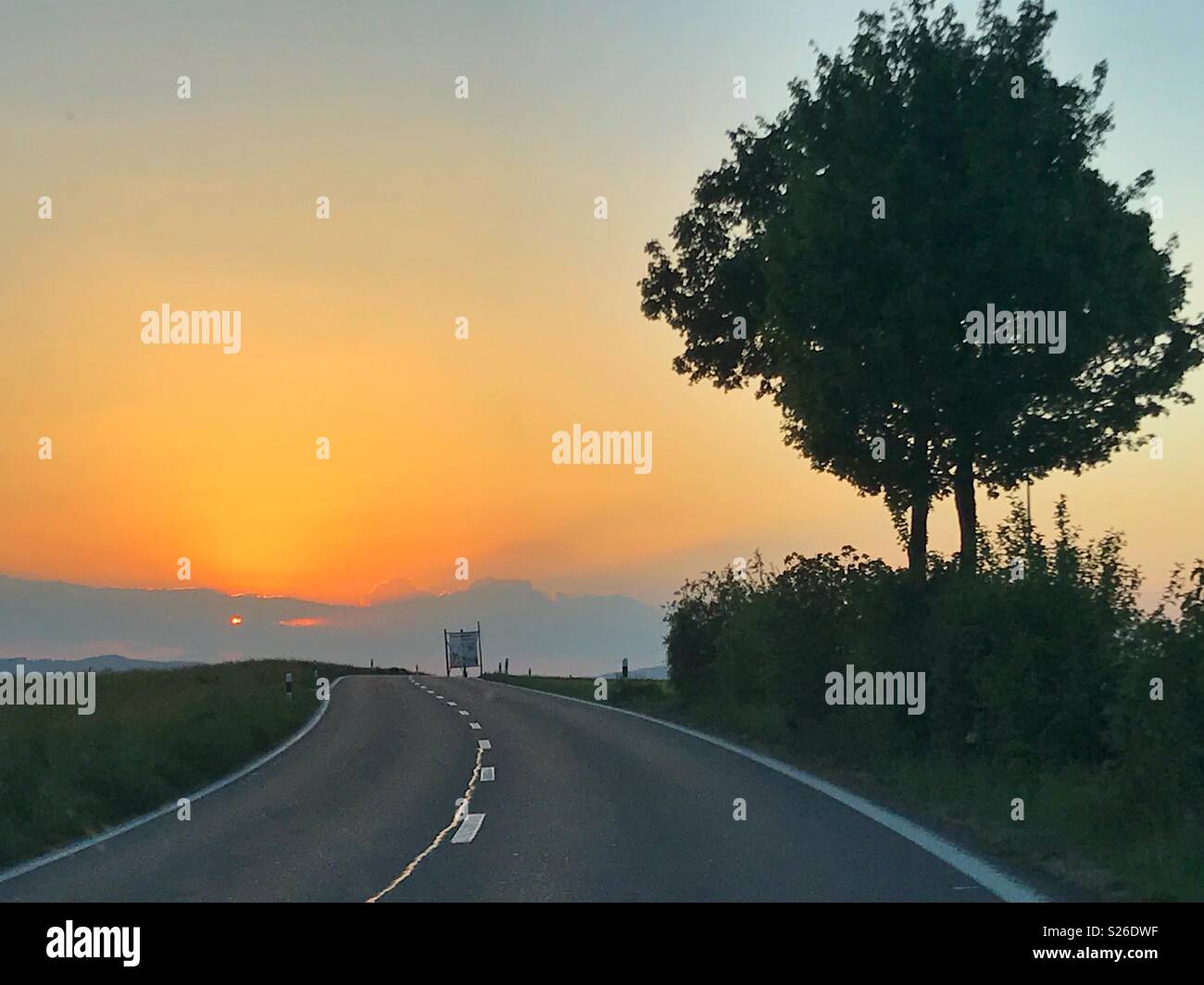 Strada e un albero al tramonto Foto Stock