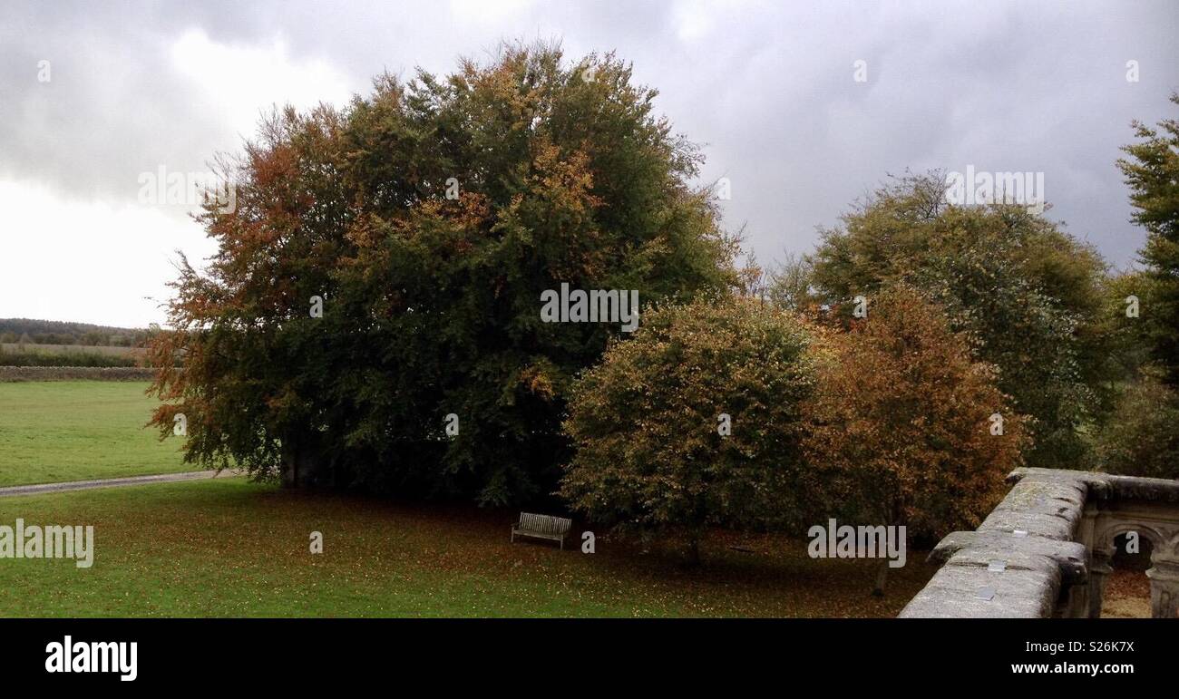Sherborne station wagon national trust Foto Stock