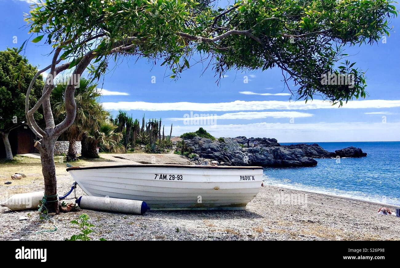 Una barca a remi si siede sotto un albero in spagnolo spiaggia. Foto Stock