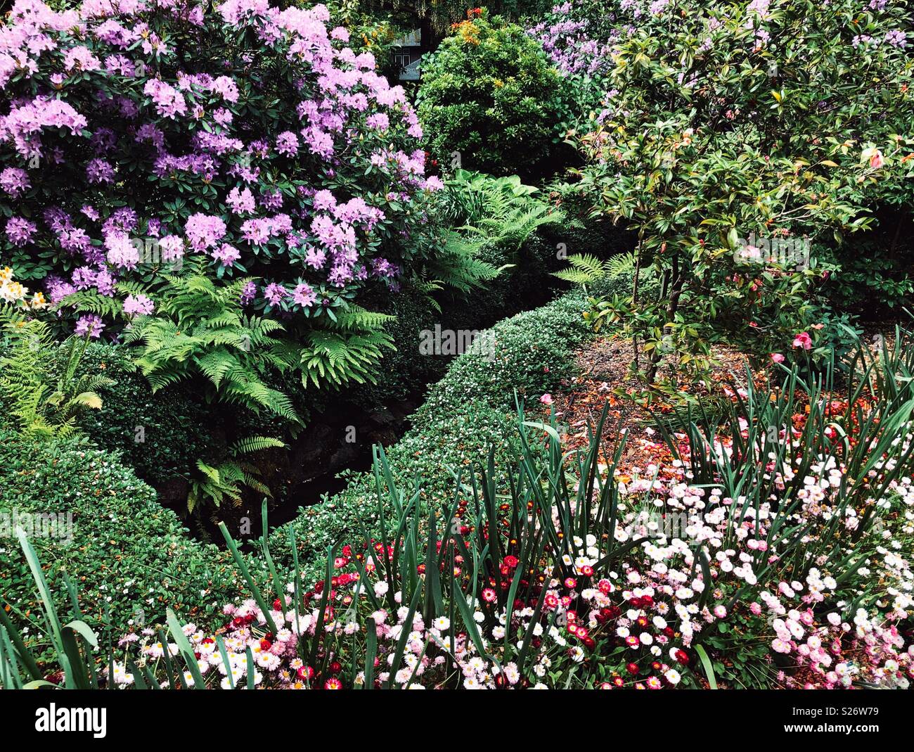 Lussureggiante giardino nel pieno fiore Foto Stock