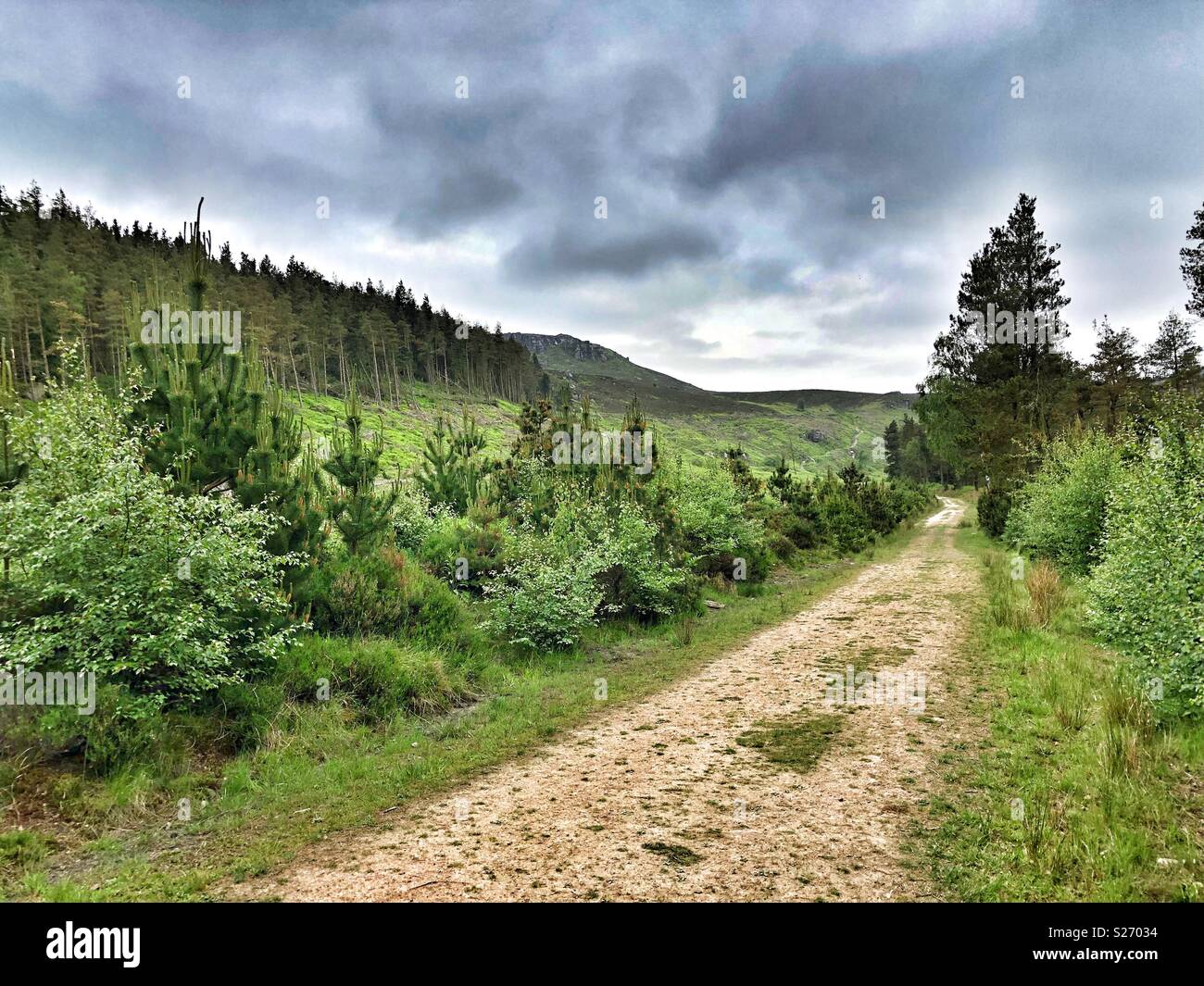 Passeggiate in campagna Foto Stock