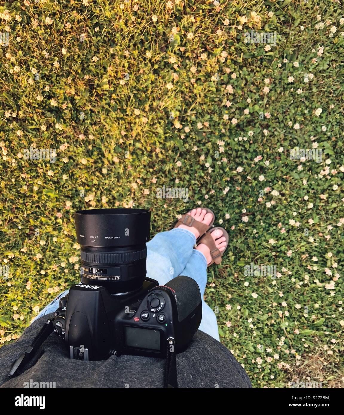 Punto di vista immagine della persona in piedi nella patch di trifoglio con Nikon reflex fotocamera Foto Stock