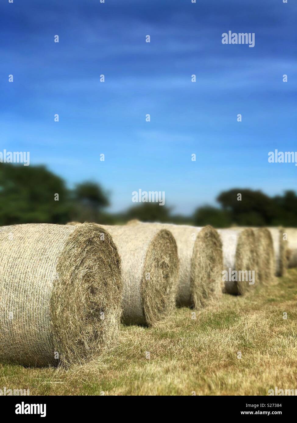 Rotoli di fieno in un campo. Warwickshire, Regno Unito. 2018 Foto Stock