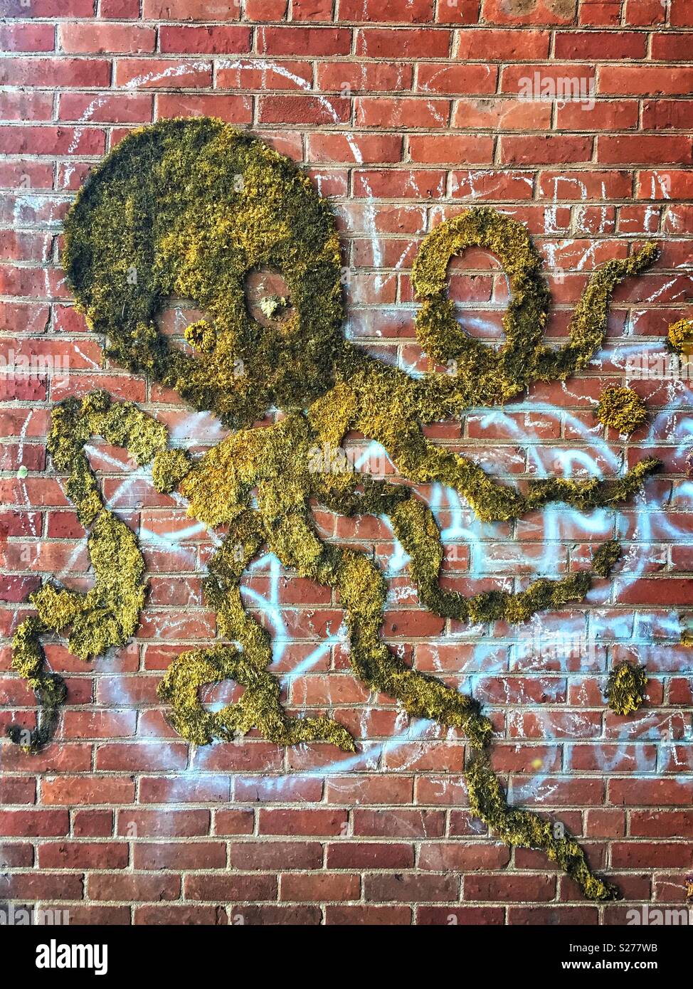 Il polpo arte e graffiti su un muro di mattoni Foto Stock