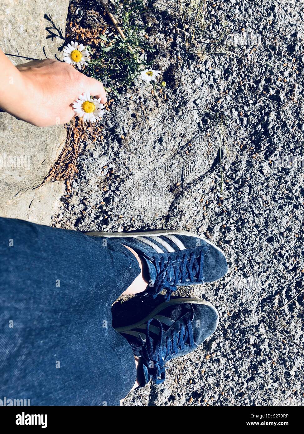 Una persona un fiore di una spiaggia sabbiosa - Immagine stock catturata con smartphone
