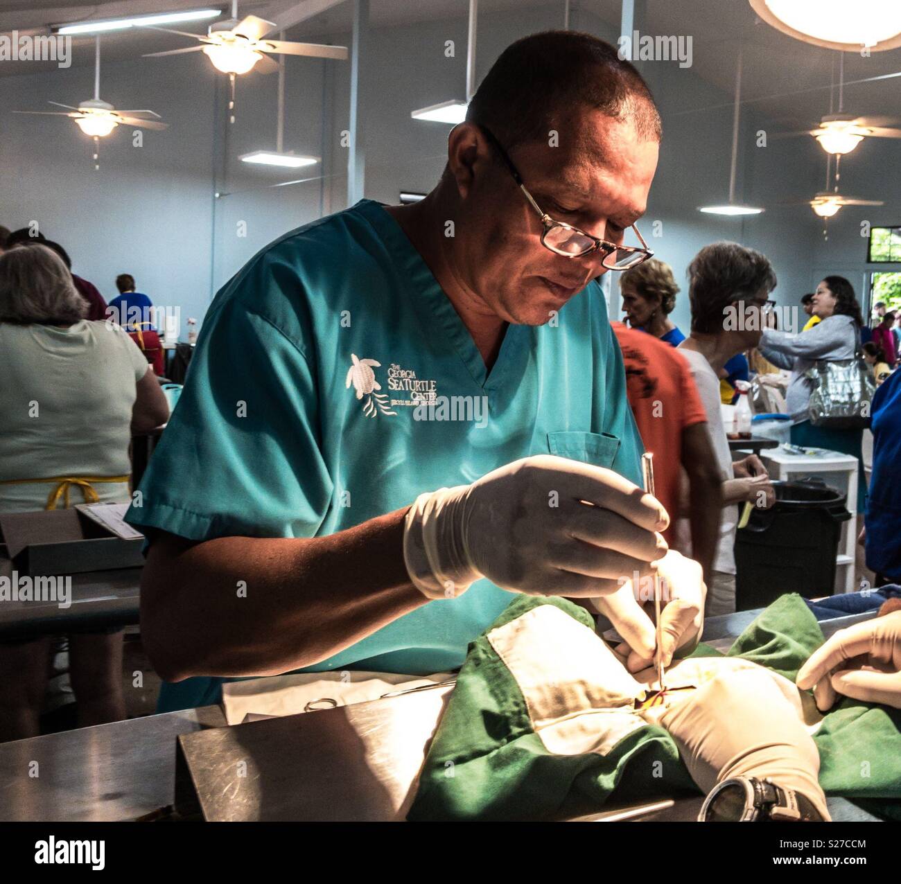 Veterinario sul posto di lavoro a spruzzi-neutro clinica di Panamá Foto Stock