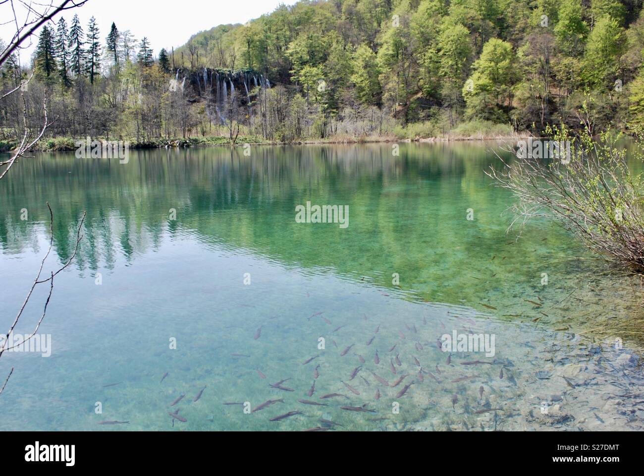 Lago di Plitvice, Croazia Foto Stock