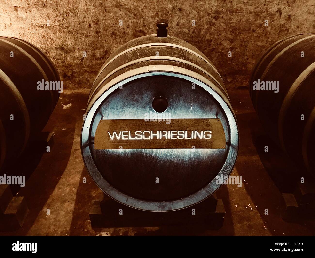 Un barile di WelschRiesling vino in una botte in una cantina di vini Foto Stock