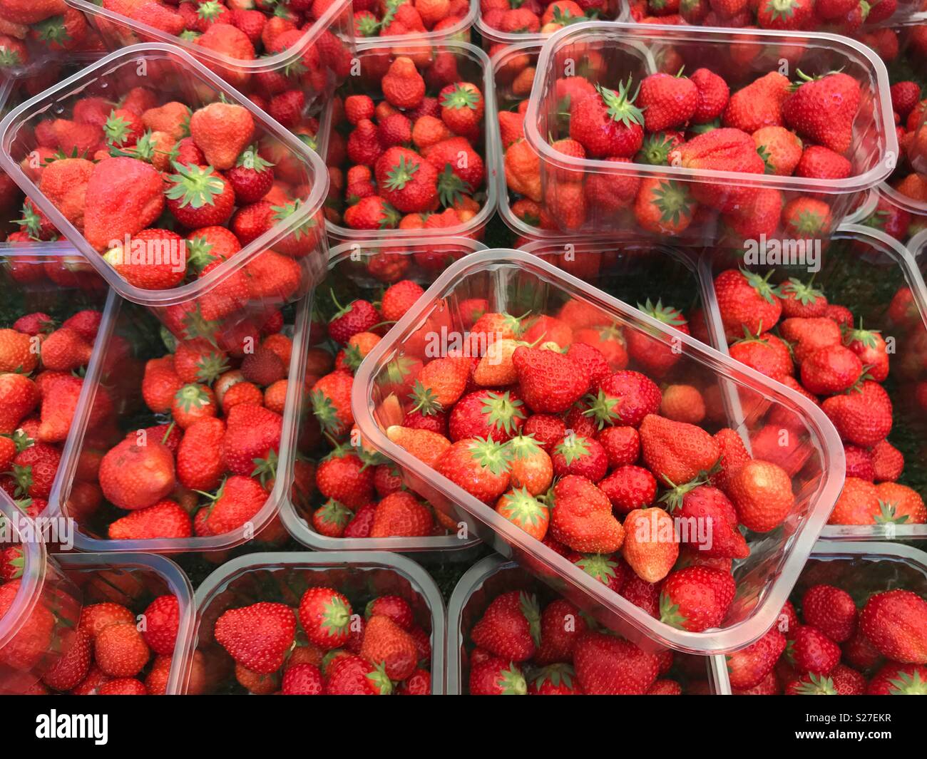 Fragole in punnets in plastica - Immagine stock catturata con smartphone