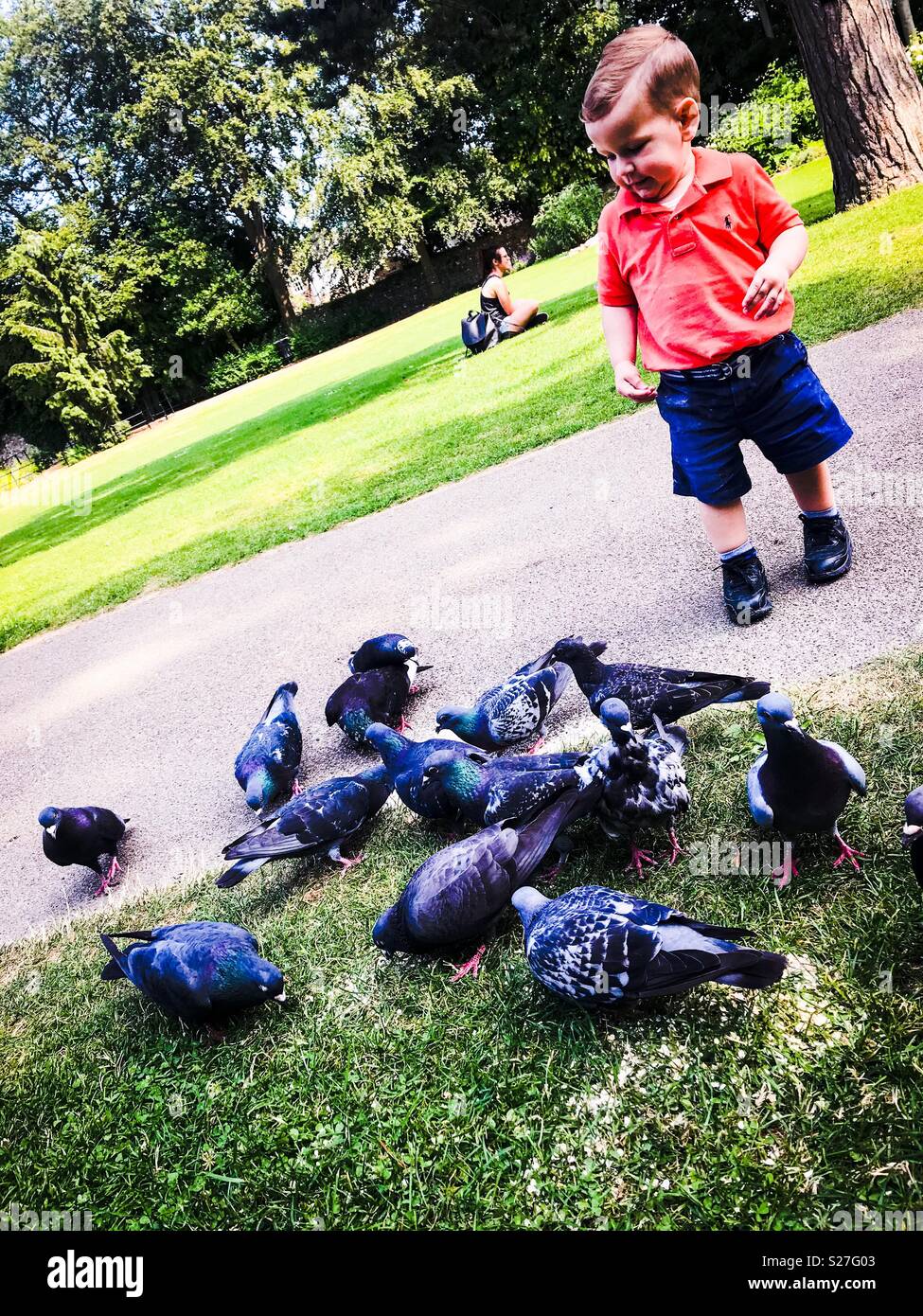 Westgate gardens Canterbury Foto Stock