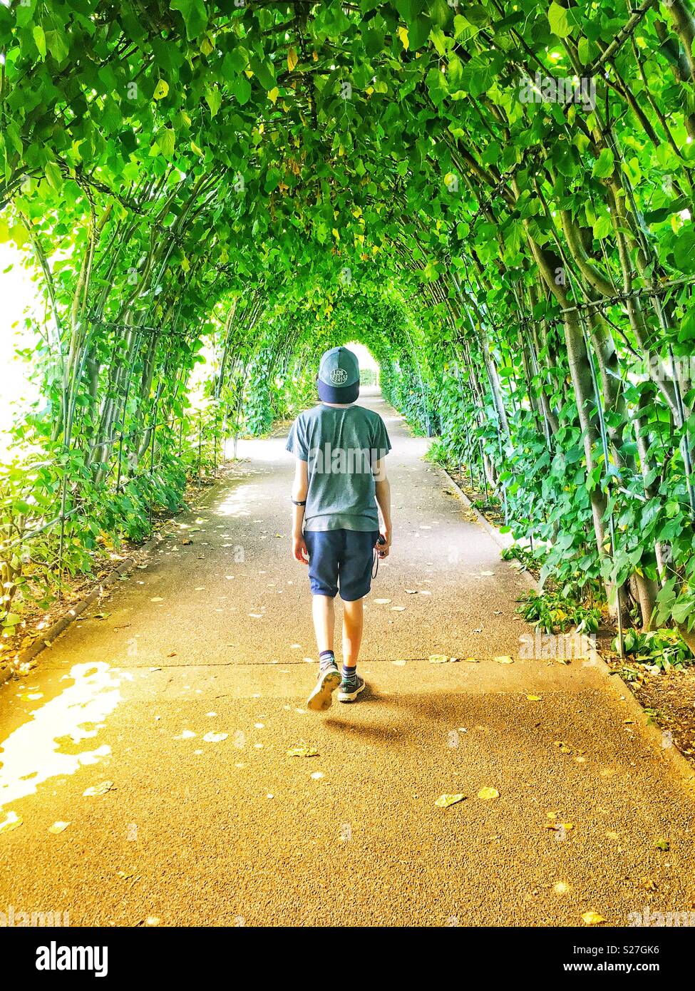 Ragazzo a piedi attraverso tunnel hedge. Foto Stock