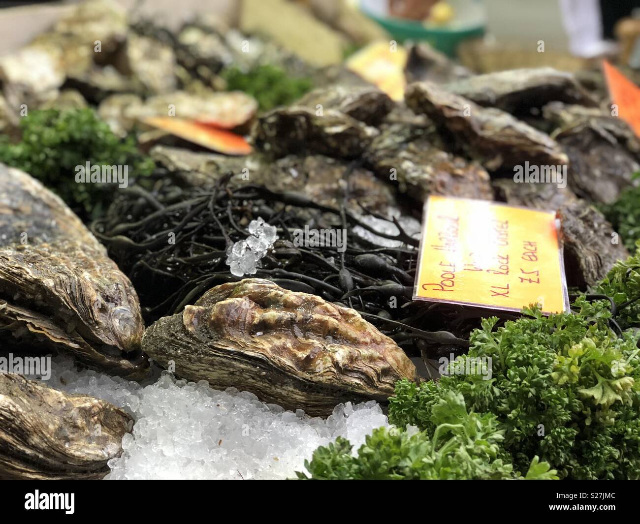 1 kg di ostriche prezzo