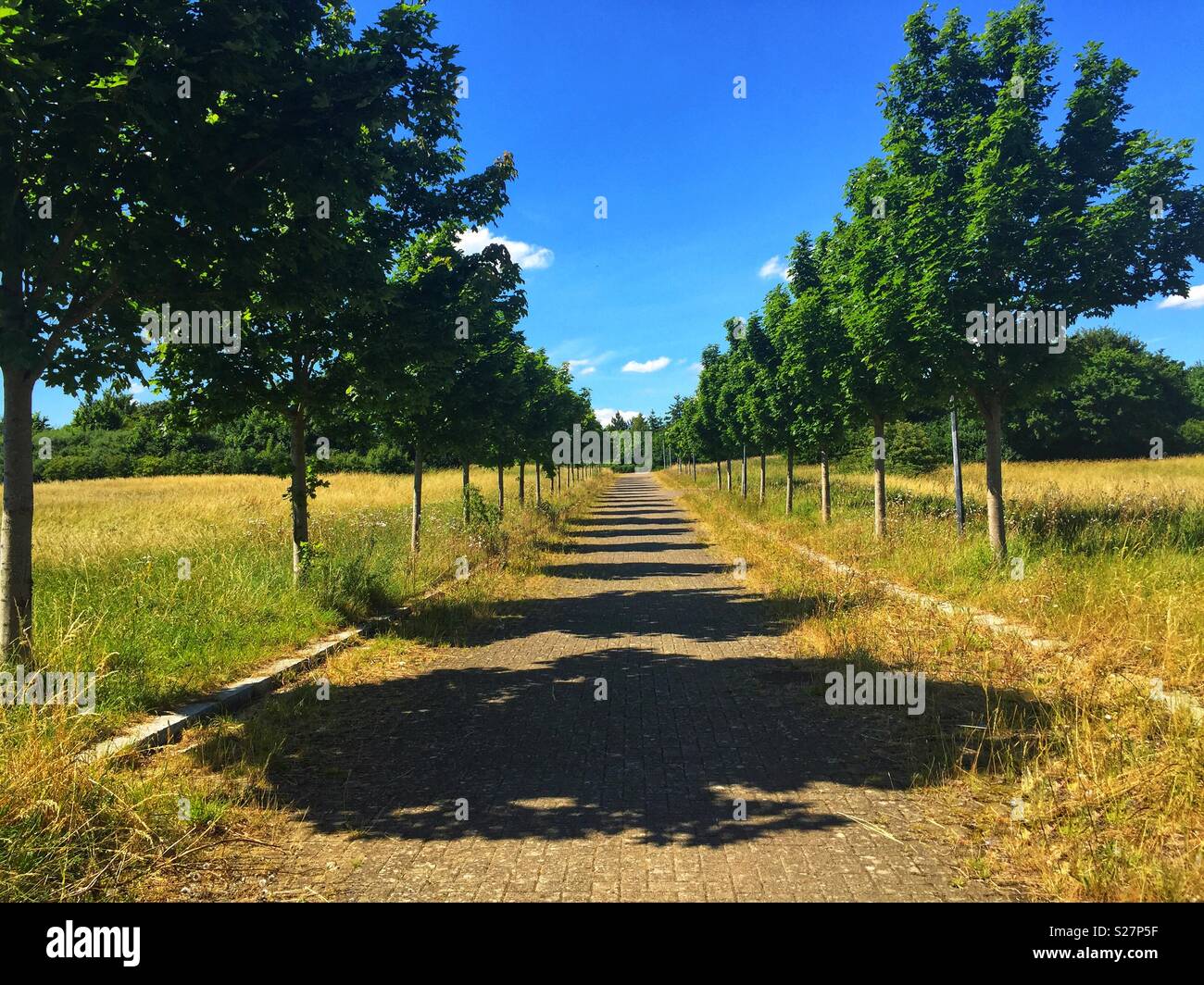 Milton Keynes avenue in attesa di sviluppo. Foto Stock