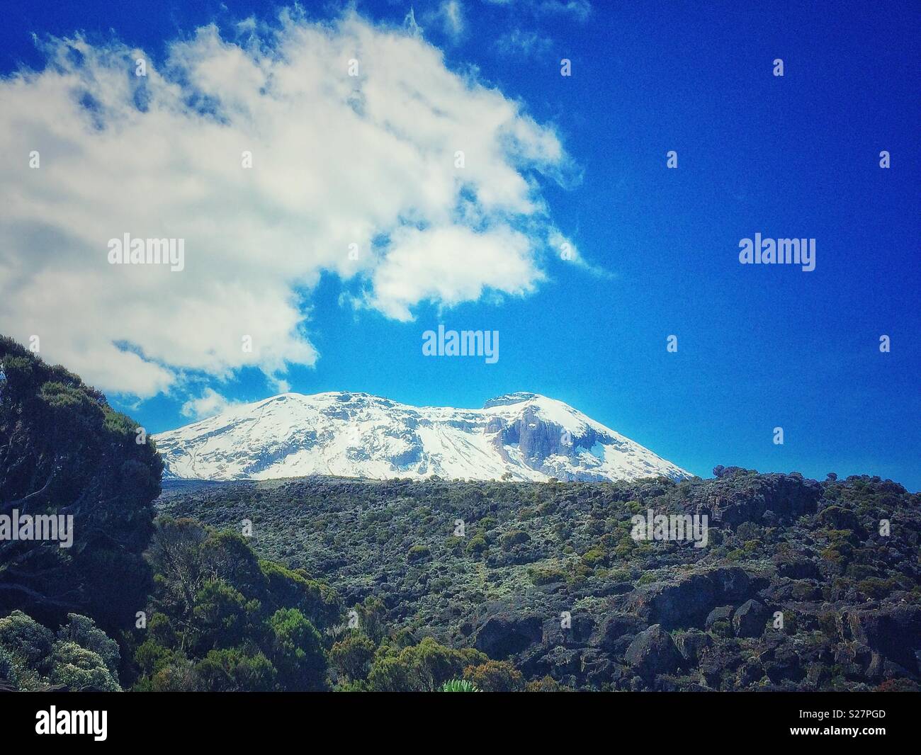 Coperta di neve montagna Kilimanjaro in Tanzania Foto Stock