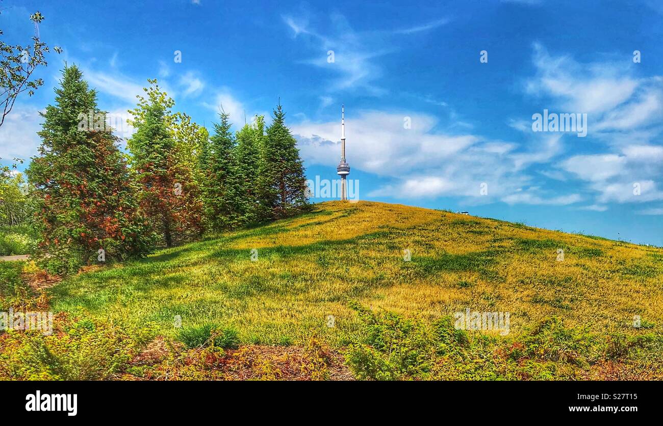 Centro di attrazione. - Immagine stock catturata con smartphone