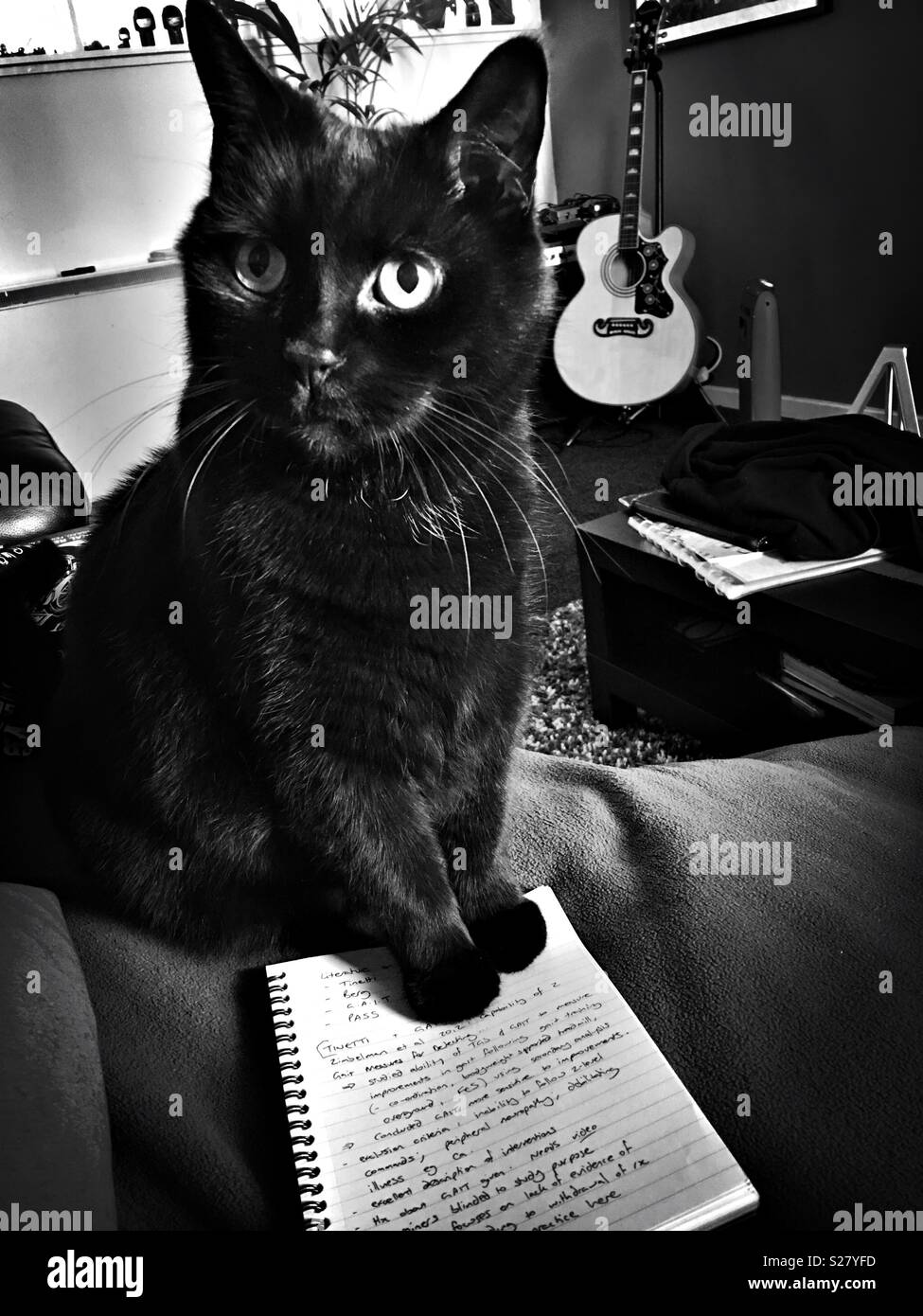 Giocare con me, non studiare qualsiasi altro! - Immagine stock catturata con smartphone