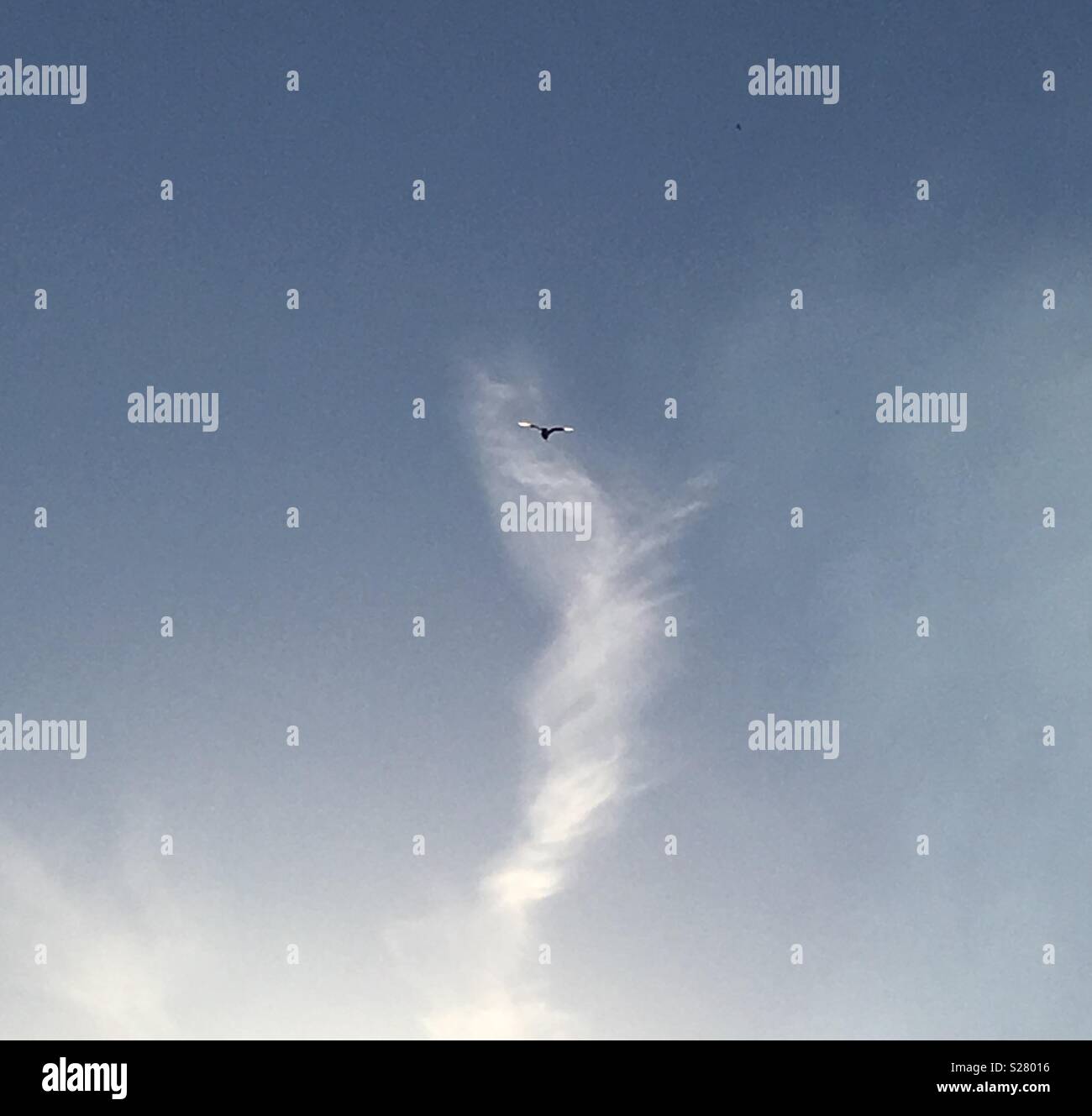 Angelo in forma di cloud con un uccello che sta volando ad alta. Foto Stock