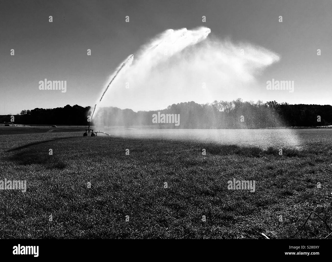 In bianco e nero di articolazione centrale o pistola grande irrigazione su un campo di grano di inverno in Raleigh North Carolina. Foto Stock