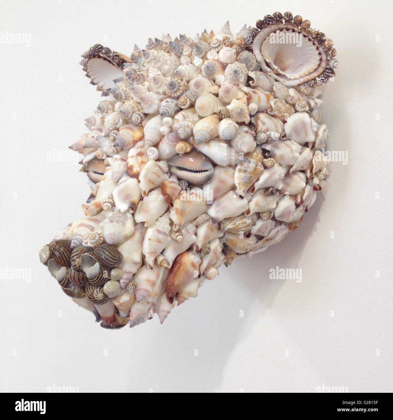 Bears Head Made Out of Shells, Sandwich Wildlife Park, Sandwich, Kent - Immagine stock catturata con smartphone
