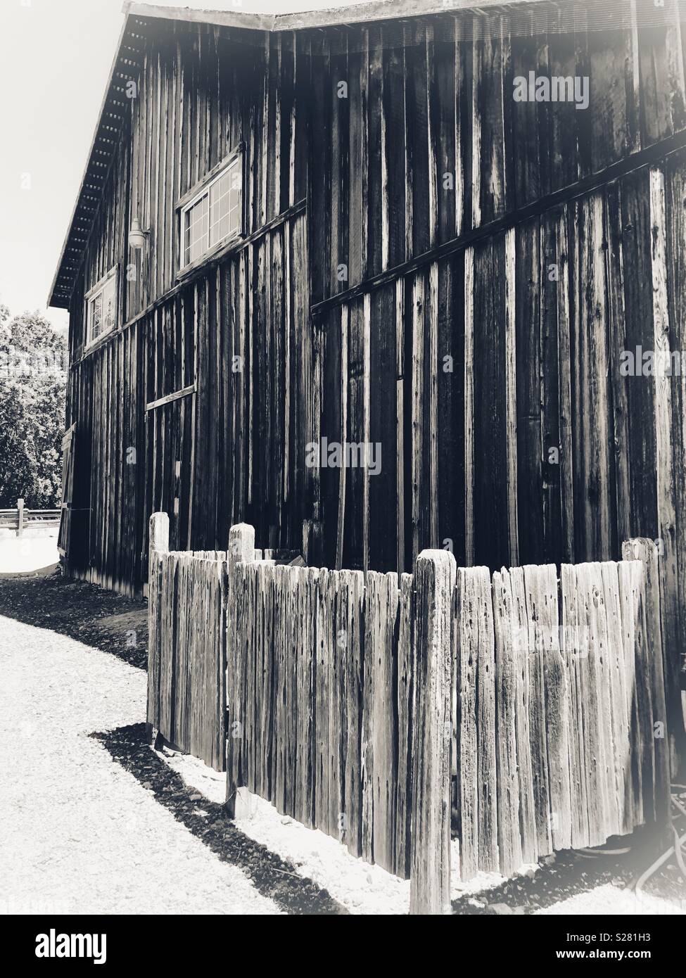 Vecchio legno rustico granaio di una fattoria a gestione familiare piantagione nella Sonoma County, California. In bianco e nero. - Immagine stock catturata con smartphone