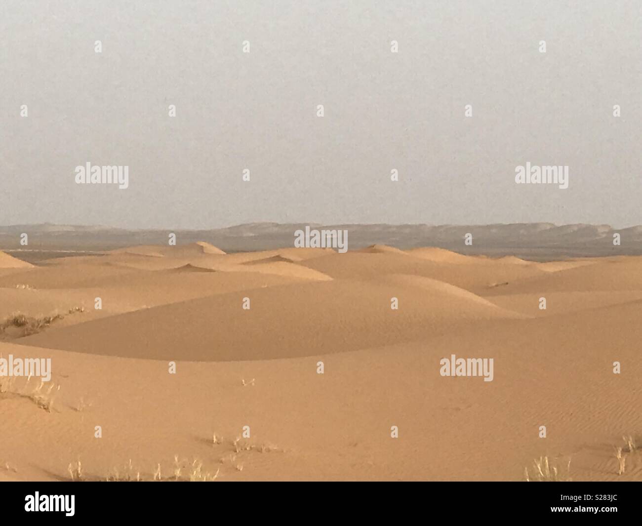 Mare di dune di sabbia Erg Chebbi deserto del Sahara Foto Stock