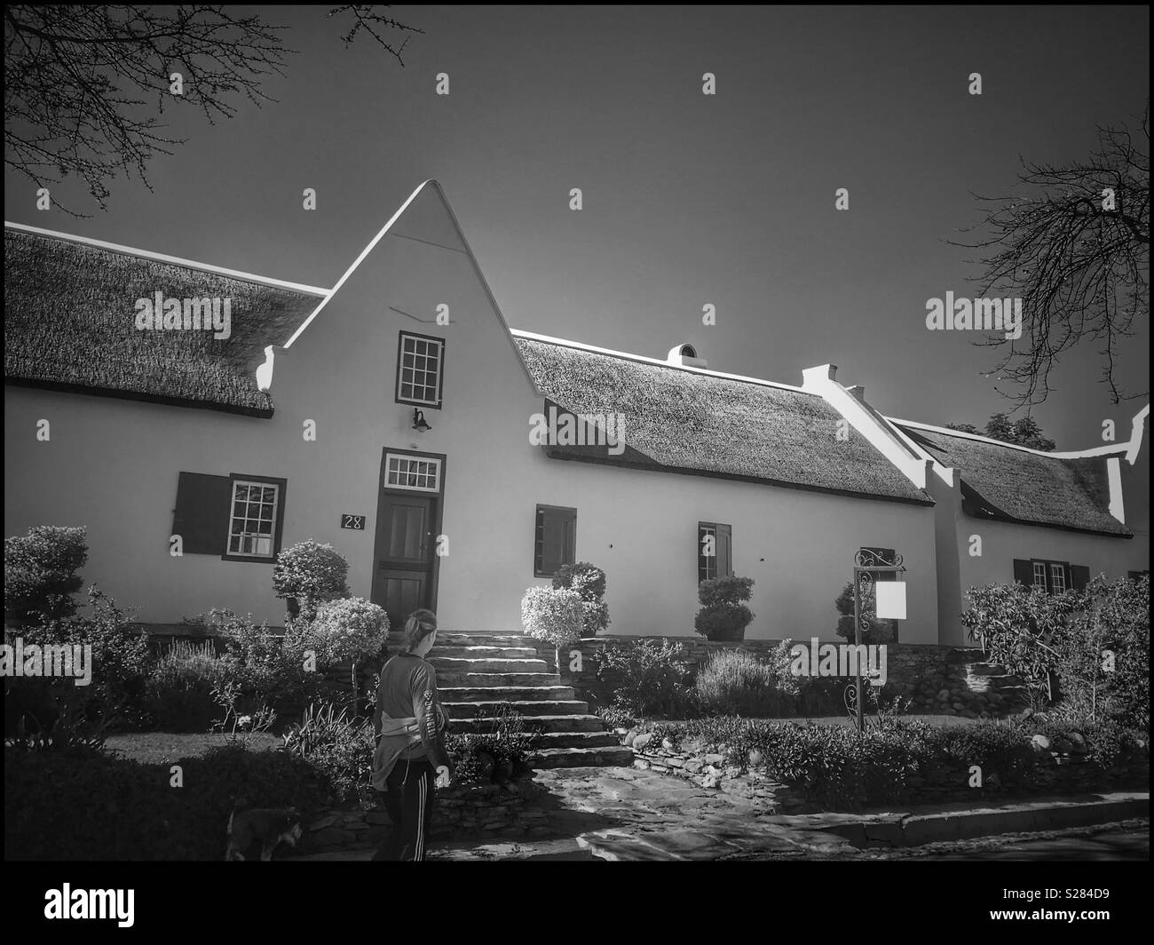 Fila di case in Church Street, Tulbagh, Provincia del Capo Occidentale, Sud Africa. Foto Stock