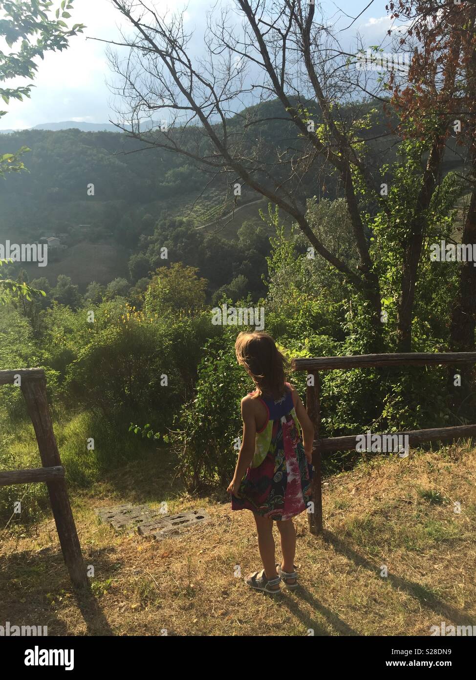 Bambino in piedi sulla parte superiore di una scala in campagna. - Immagine stock catturata con smartphone
