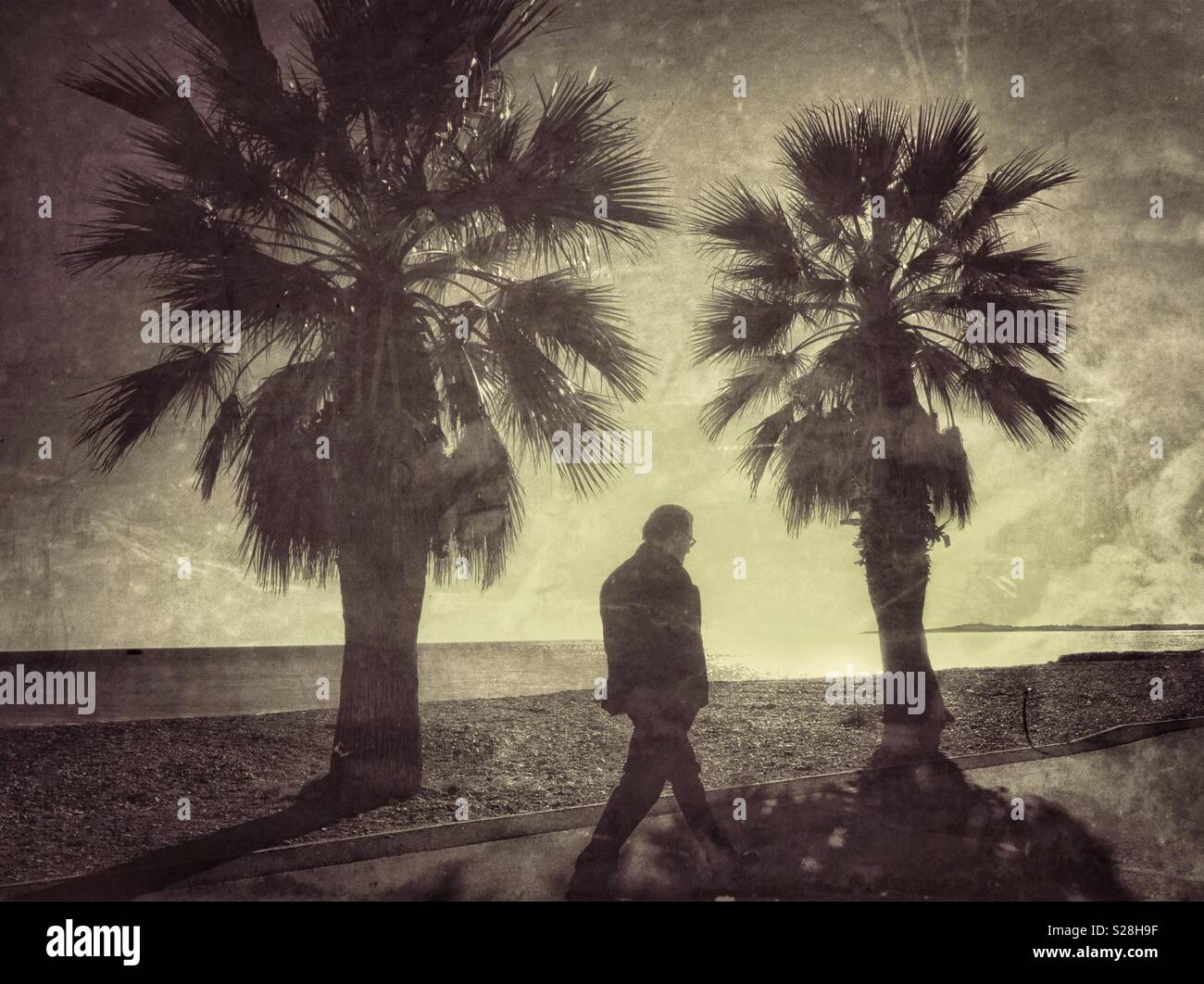 Un lone persona cammina lungo un percorso ed è incorniciato da 2 alberi di palma. Un'immagine per illustrare la depressione, isolamento o di giorni passati. Credito foto - © COLIN HOSKINS. - Immagine stock catturata con smartphone