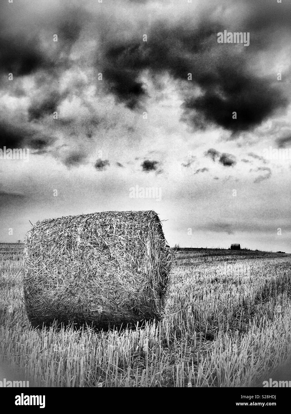 Una singola balla di fieno in un campo Foto Stock