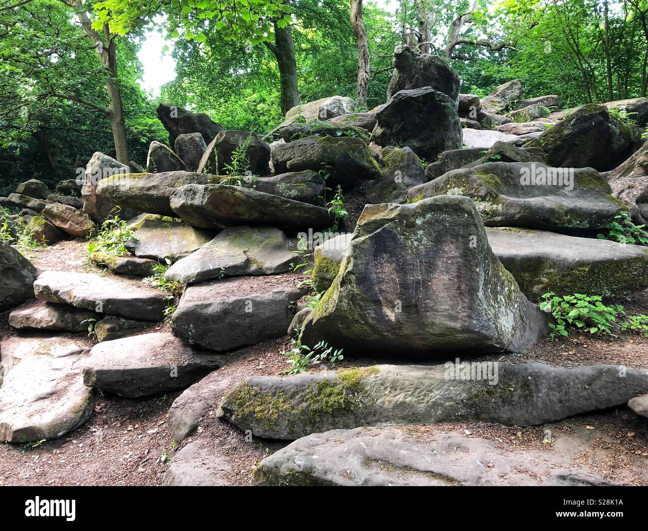 Rocce di varie forme e dimensioni di fronte a vari alberi in Birkenhead Park, Wirral Foto Stock