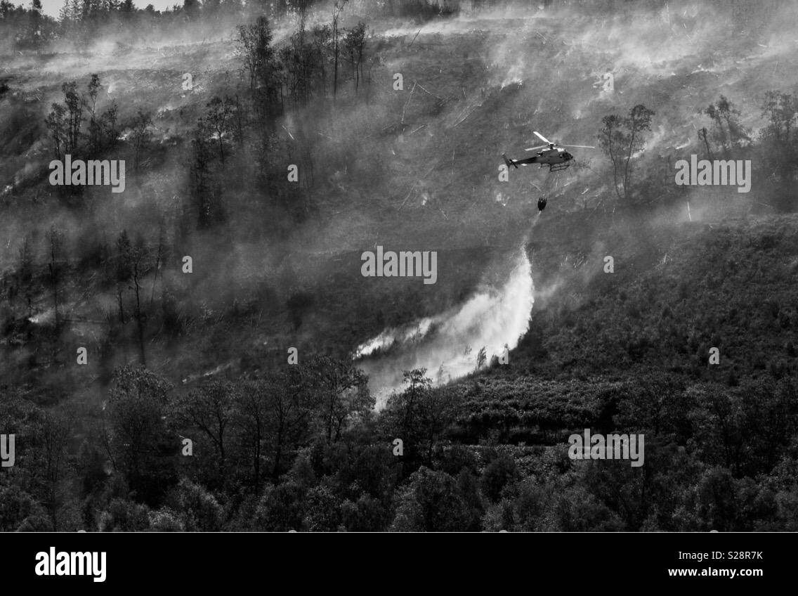 Wildfire-fighting. Foto Stock