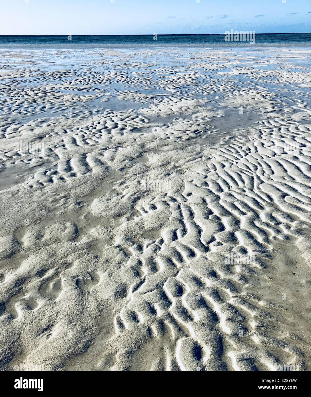 Rughe in sabbia a bassa marea Foto Stock