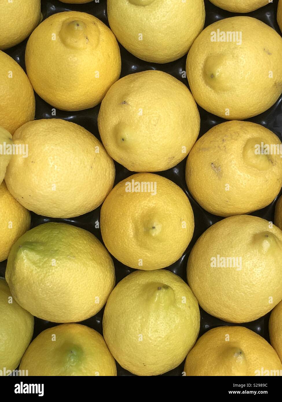 Limoni interi disposti in righe Foto Stock