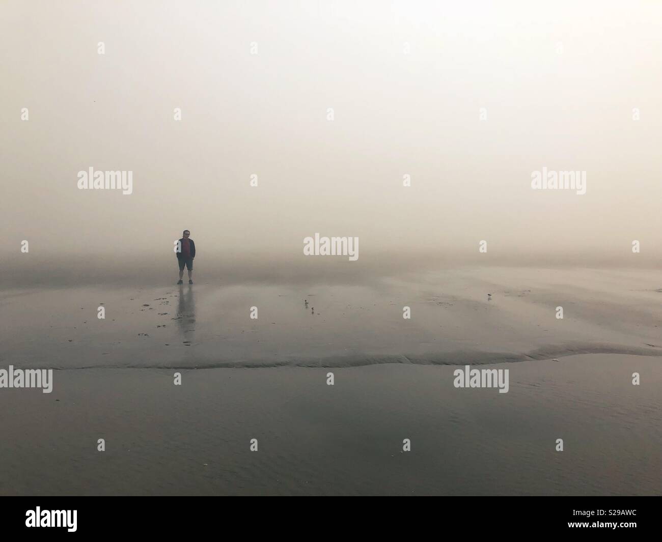 Un uomo in piedi da solo su una spiaggia di nebbia. Foto Stock