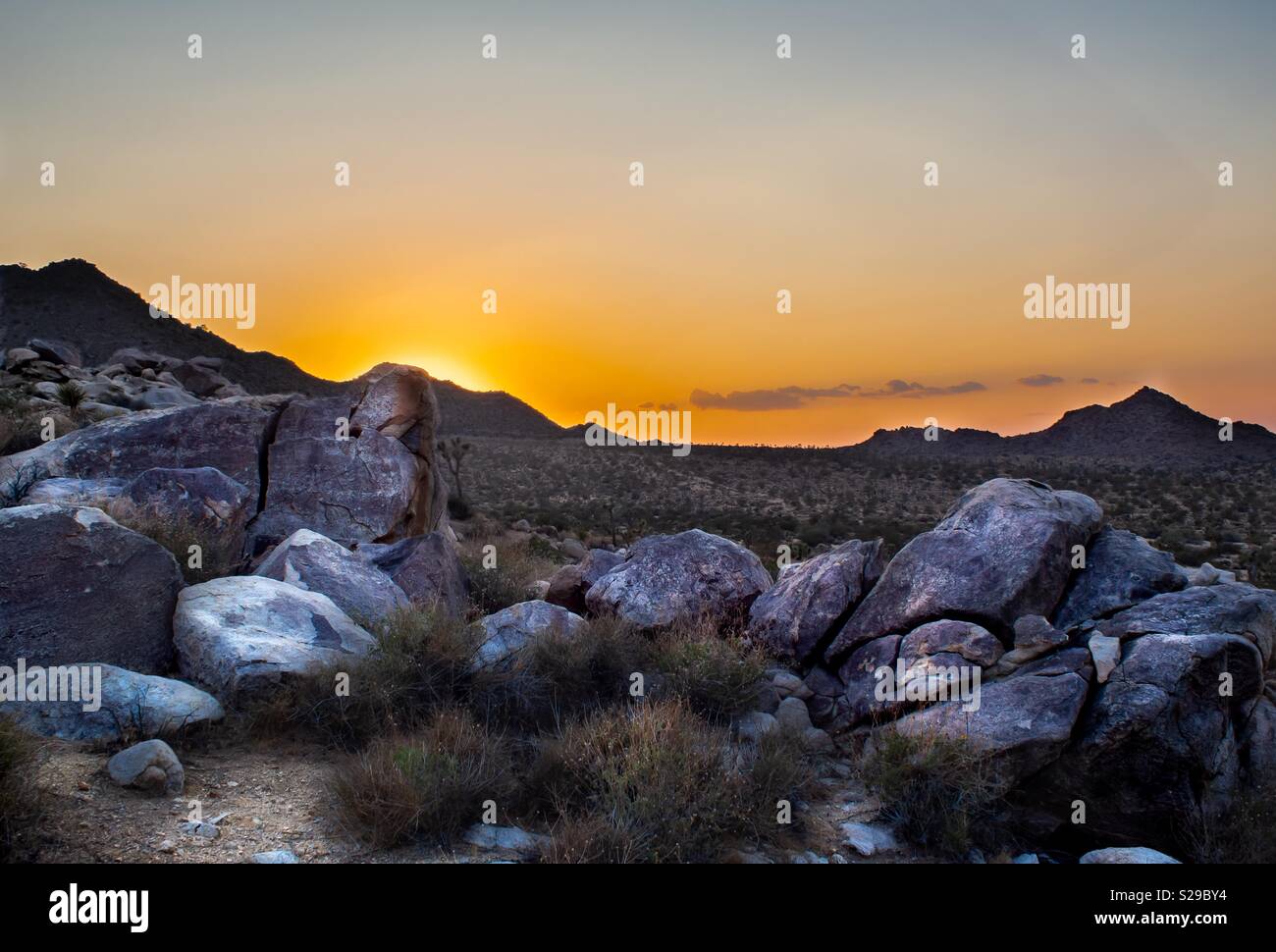 Le rocce in giallo tramonto a Joshua tree Foto Stock