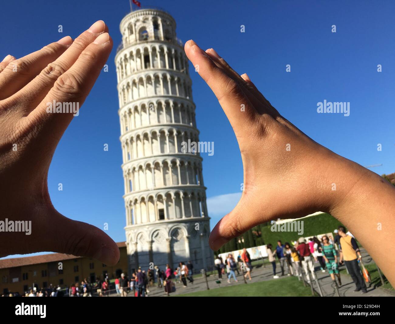 La Torre Pendente di Pisa a Pisa, Italia. Conosciuta in tutto il mondo per la sua inclinazione non intenzionale. Foto Stock