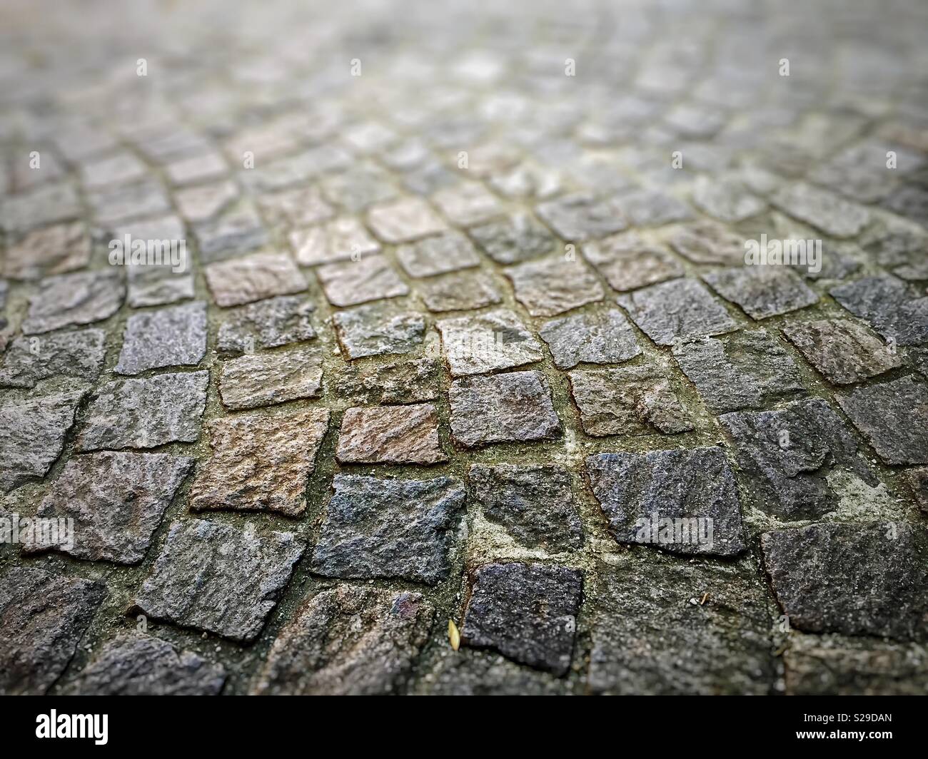 Dettaglio di una strada di ciottoli - Immagine stock catturata con smartphone