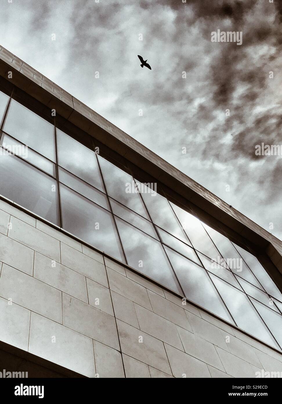 Bird morendo contrastato con nuvole riflettono in windows di architettura moderna (Mersey Ferries edificio in Liverpool) Foto Stock