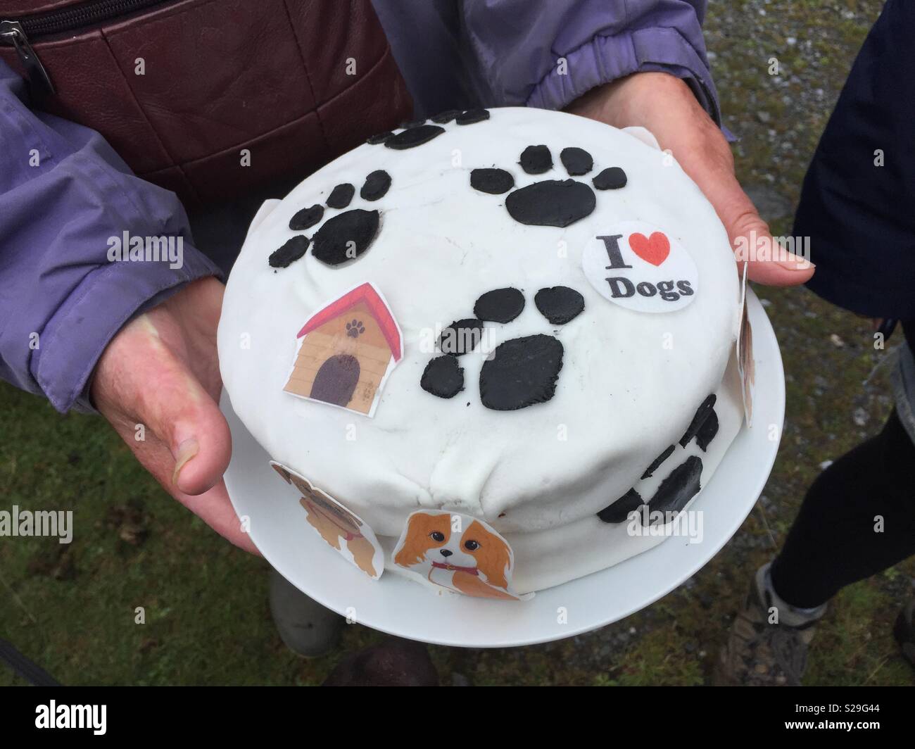 Il design del cane torta di compleanno Foto stock - Alamy