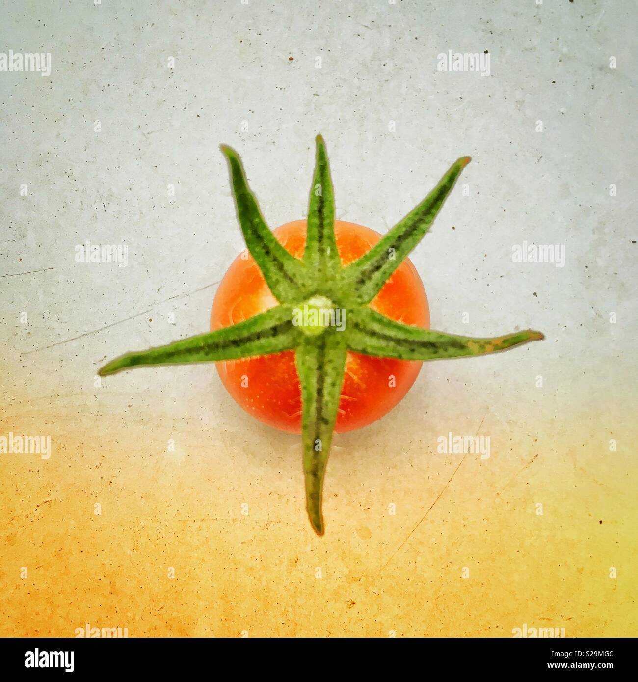 Pomodoro ciliegino con una grande stella-come la levetta - Immagine stock catturata con smartphone