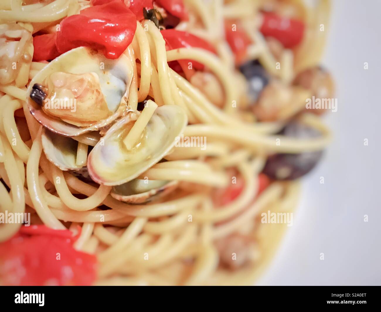 Spaghetti con minuscoli vongole nel guscio Foto Stock