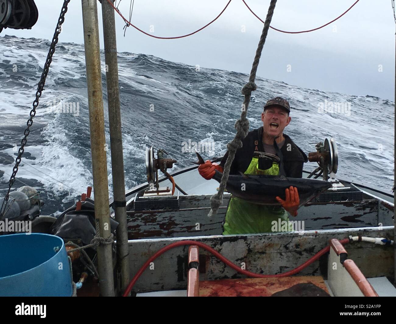 Fearless commerciale indipendente terre pescatore Tonno bianco Tonno sul ponte della sua 100 Anno di legno vecchio peschereccio nel brutto tempo. Foto Stock
