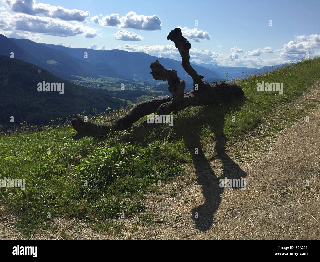 Tronco su un sentiero di montagna e la vista di Brunico, Italia. - Immagine stock catturata con smartphone
