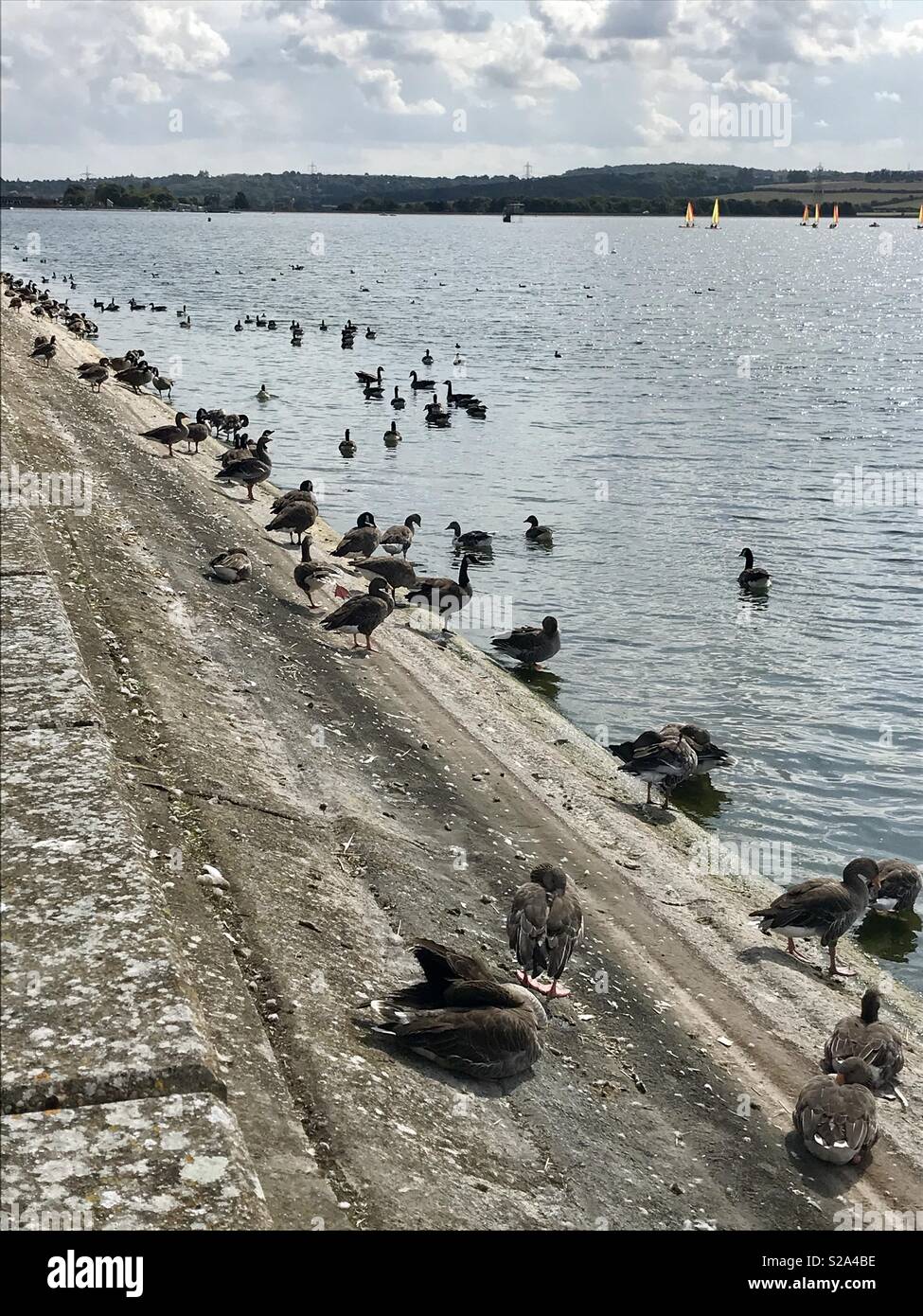 Serbatoio Farmoor, Oxfordshire Foto Stock