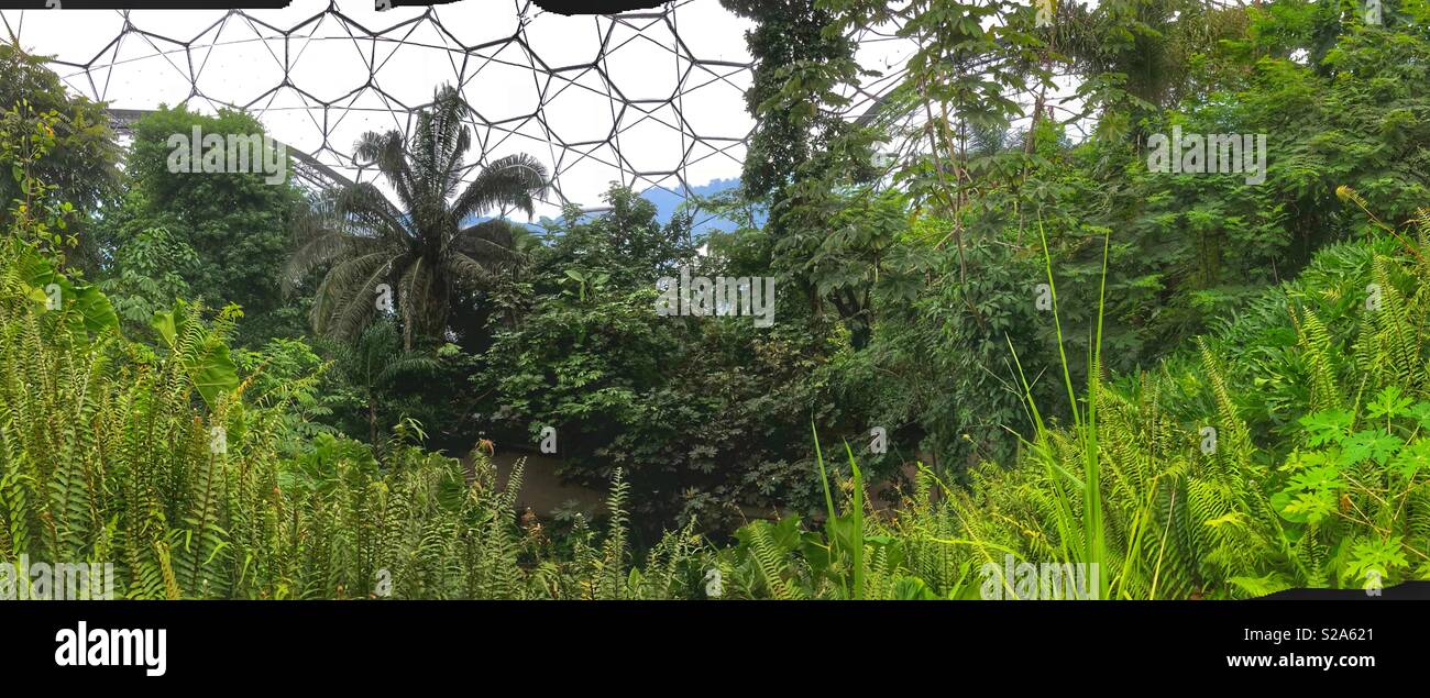 Panorama all'interno del biome tropicale al Progetto Eden Foto Stock