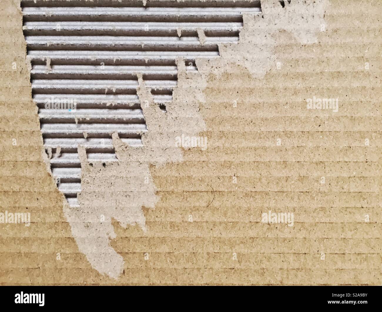 Vista ravvicinata di un cartone sottoposto a RIP. Il confezionamento e la scatola di cartone - Immagine stock catturata con smartphone